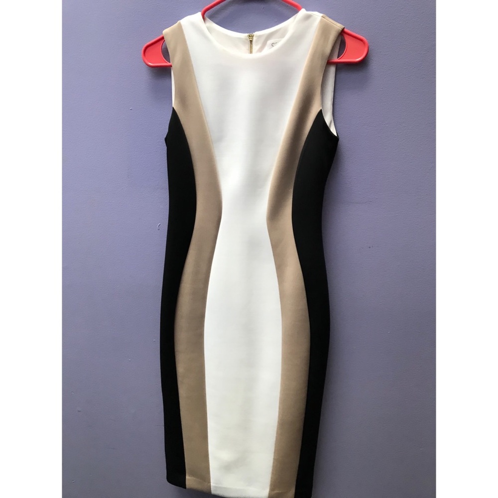 Slimming Calvin Klein Dress